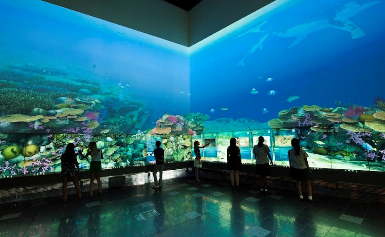 Digital aquarium cheap